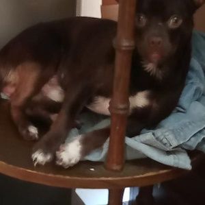 Meet your Posher, Erick